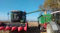 Fendt 5180 E+Capello Quasar+DB 12+Lamborghini 956