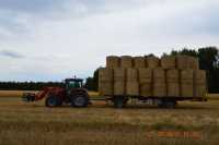 Massey Ferguson 5435 & Przyczepka