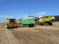 Claas Tucano 320 DAF XF , Claas Lexion 650