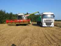 Claas Lexion 650 i Daf XF 95.430