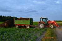 Massey Ferguson & Pronar