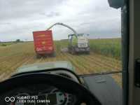 Claas 950, Have
