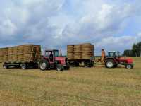 Massey Ferguson 698 i Renault 651 z ładowaczem