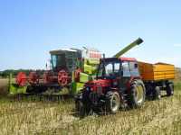 Claas Dominator 112 CS & Zetor 7745 Turbo + przyczepa