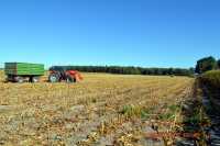 MF5435  Pronar T672 & Claas Jaguar