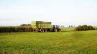 Massey Ferguson 5465 + Krone MX350GD