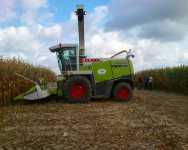 Claas Jaguar 830