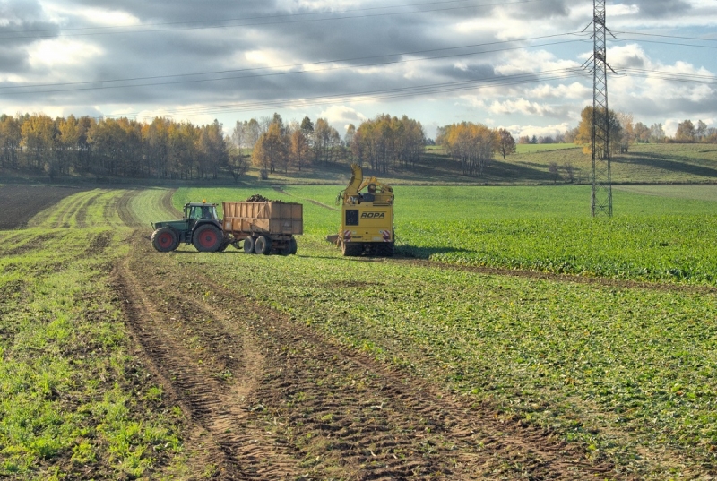 Fendt 926 vario + Veenhuis