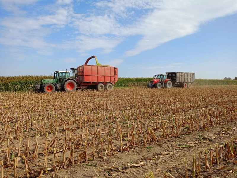 Fendt Favorit 515c przyczepa objętościowa