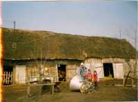 Obora