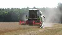 Claas Avero 160