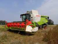 Claas Lexion 650