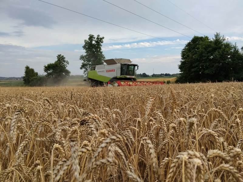Claas Lexion 600