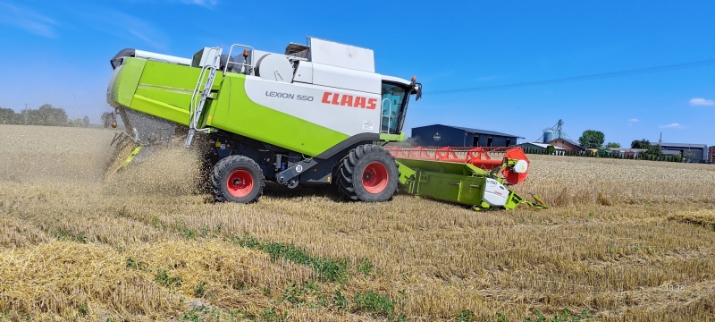 Żniwa 2026 Lexion 550