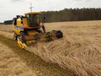 New Holland TC 5040