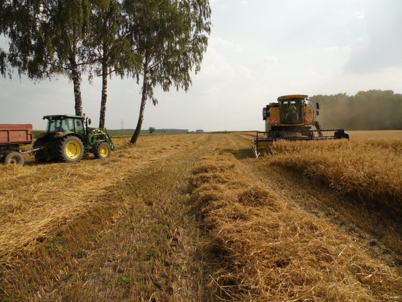 New Holland TC5040