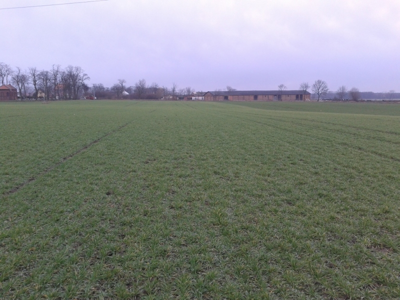 Wintmalt