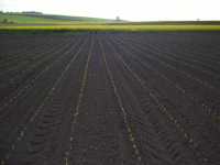 Pioneer P8400
