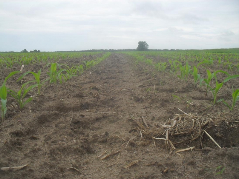 Pioneer P8088