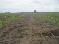 Pioneer P8088