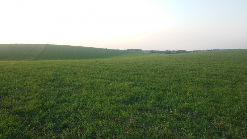 "Proekologiczny" poplon