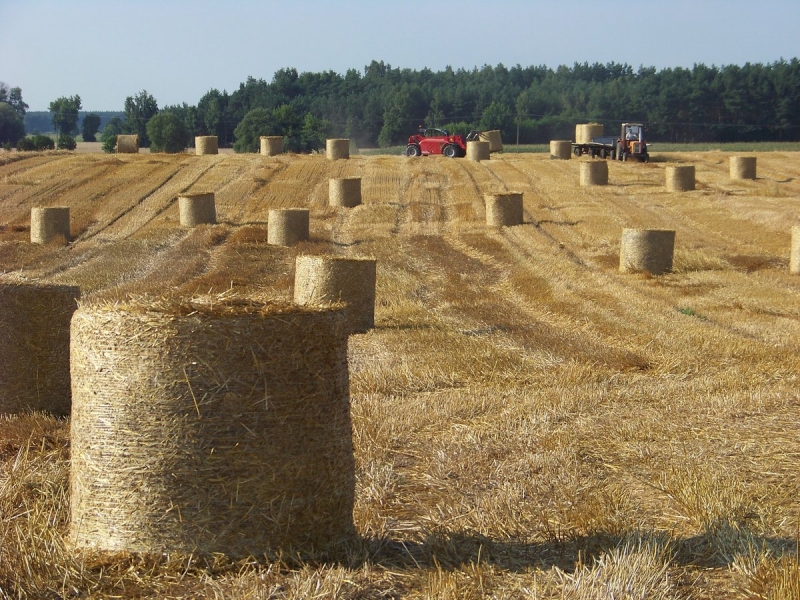 Słoma