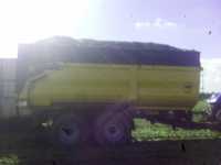 Wielton z fasolą Wielton z fasolą