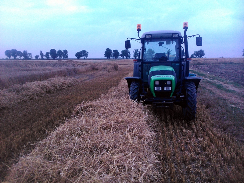 DF Agroplus 310