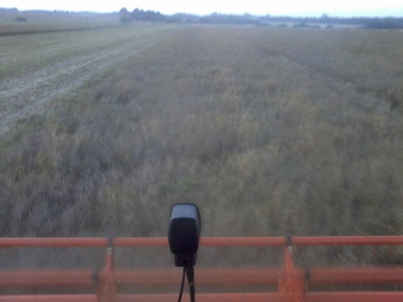 Claas Lexion 650