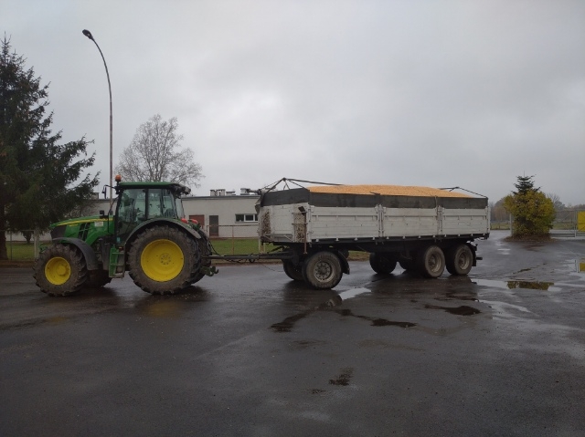 Deere i wackenhuit