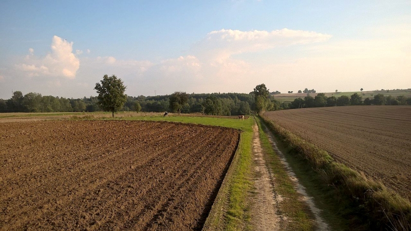 Lądowisko dla helikopterów