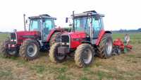 MF 3065 i 3095 Agro-Masze i Amazone