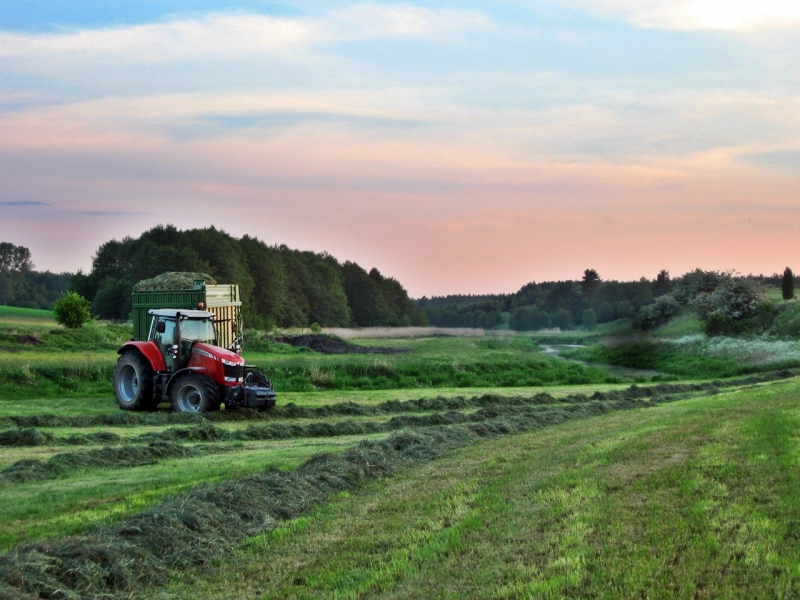 Massey Ferguson 7619 + Krone MX 350 GD