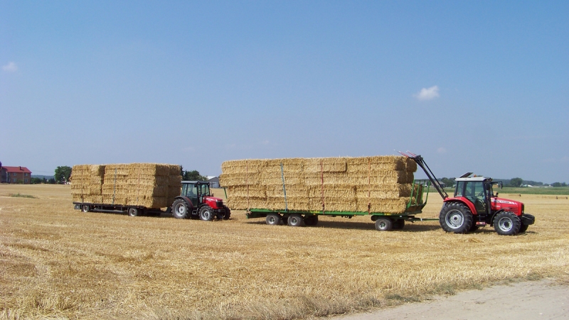 MF 5455 , 3635 + lawety