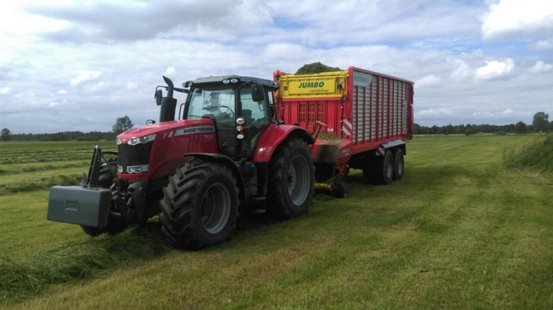 MF 7619