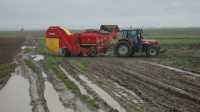 Massey 6480