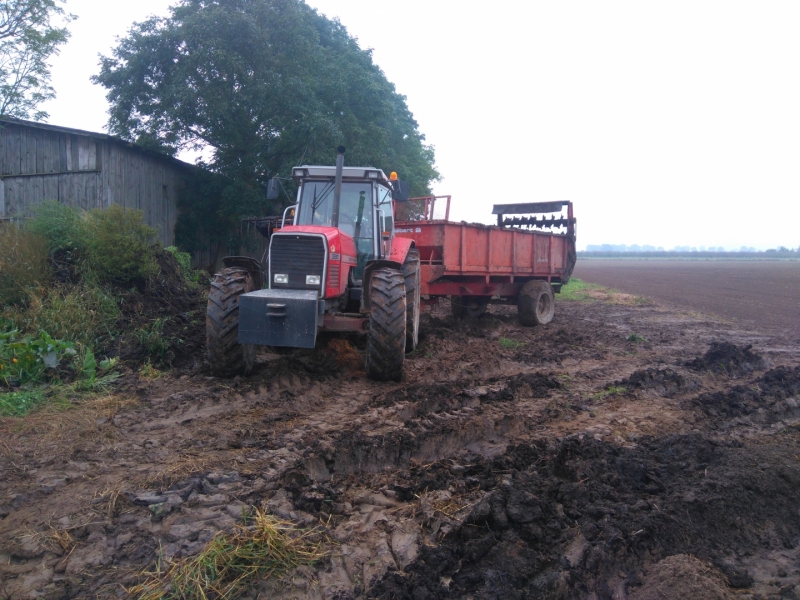 Massey Ferguson 3690 i Gilbert