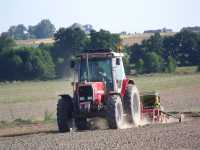 MF 3095 Agro-Masz  Amazone D7 Super S