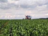 Steyr 4125 Profi
