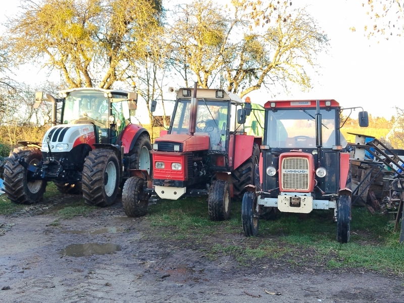 Steyr i reszta ekipy