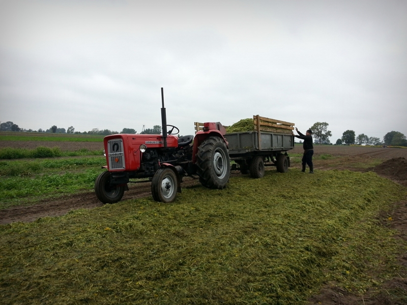 Ursus C-360 & Autosan D-35M