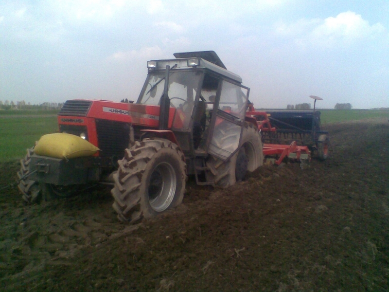 ursus1224