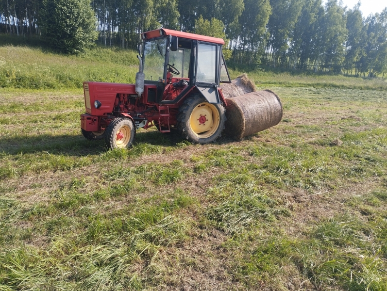 Władymirec T25