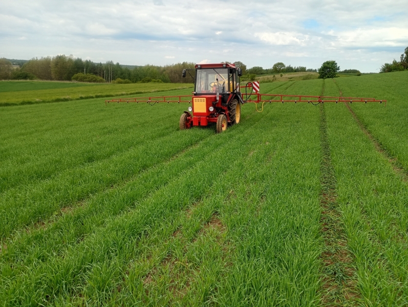 Władymirec T25 i Tadlen TL412