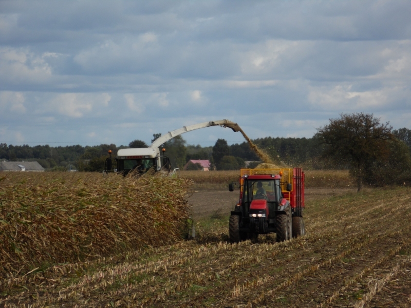 Case IH JX 80