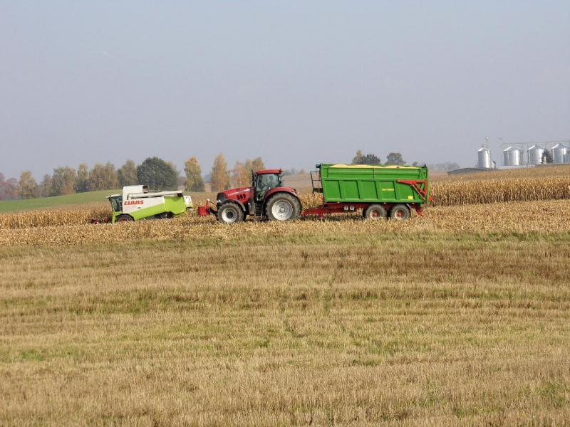 Case Puma 215& Pronar T669/1, Claas Lexion 450