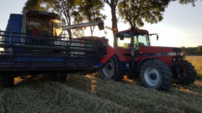 Case Magnum 7240 i MDW 525