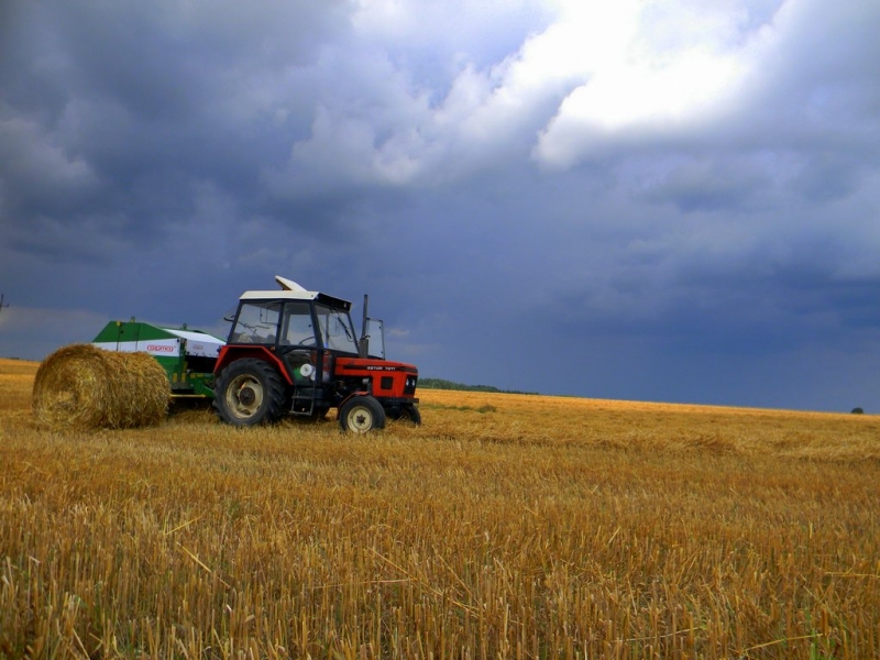 Zetor 7211