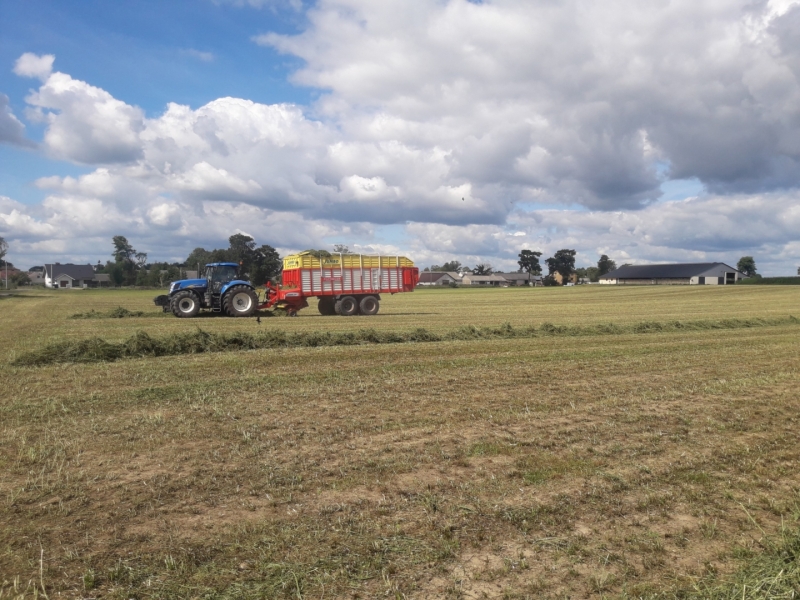 NEW Holland + Pottinger