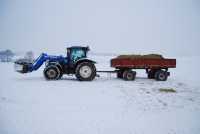 New Holland T6030 Delta